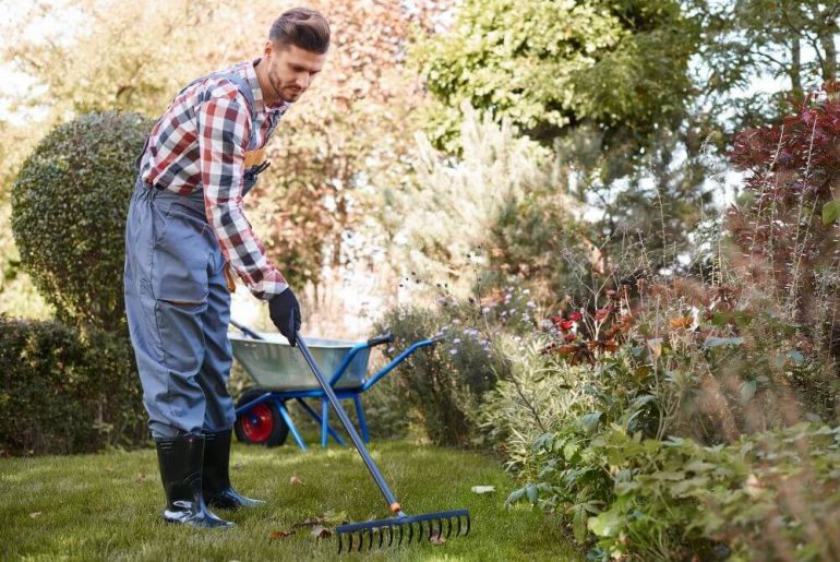 Jakie narzędzia do ogrodu przydadzą się wiosną?
