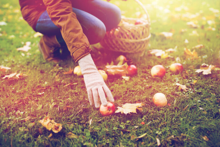 Prace w ogrodzie jesienią - o czym pamiętać?