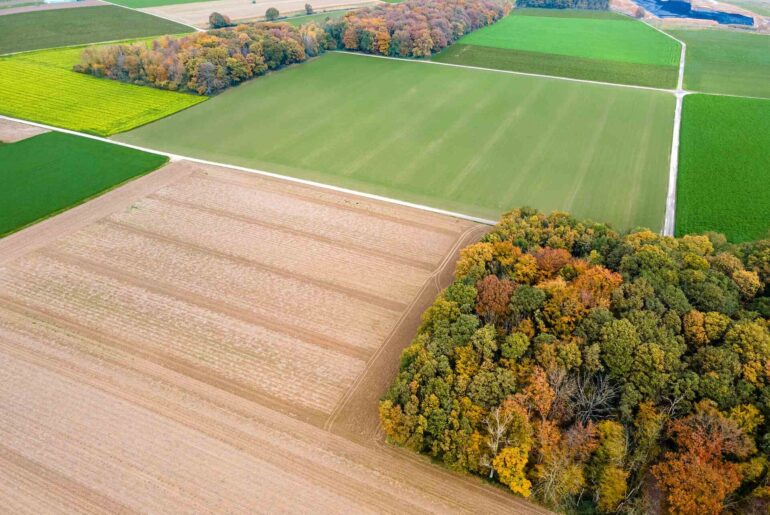 1 hektar - ile to m2 pola